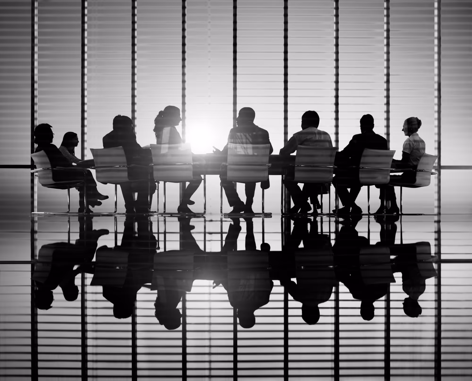 Lobbying & Affaires publiques